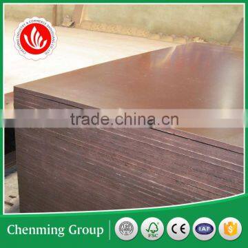 full poplar pine core film faced plywood