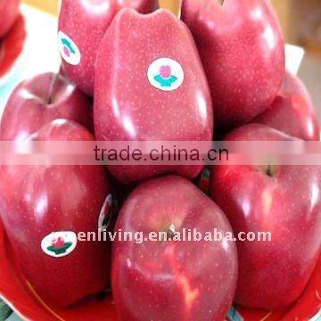 christmas huaniu apple in China