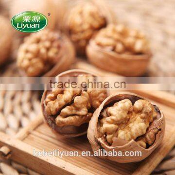 Xinjiang Walnut photo-3
