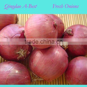 7cm-9cm Fresh Onions