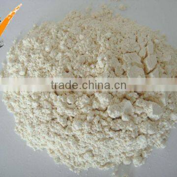 china garlic powder