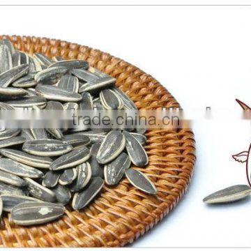 Raw New Crop High Quality Dried Sunflower Seeds Top Quality Competitive Price