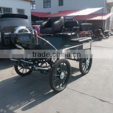 Wedding ancient Marathon horse carriage