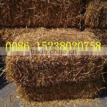 High quality CE Approved farm grass baler / grass hay baling