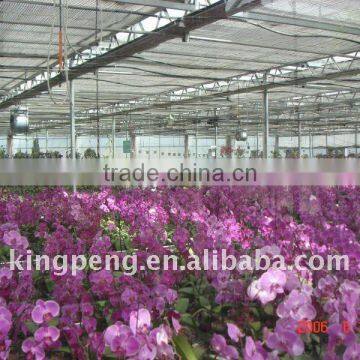 Greenhouse for Flower Cultivation