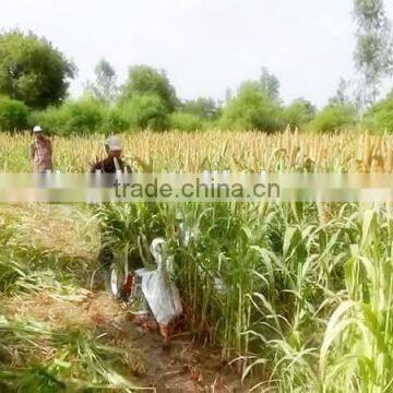 2015 Hot Sale Reaper Binder Machine photo-5