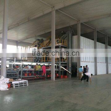 Peanut Kernal Precise Selection Line photo-3