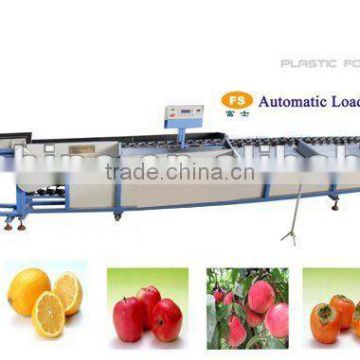 Electronic fruit sorting machine