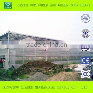 Agricultural Polycarbonate Sheet Greenhouse for Sale photo-3