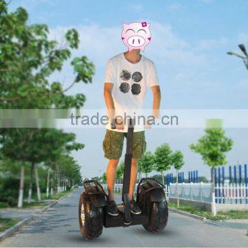Leadway 2 Wheel Portable Freestyle Scooters Bashan Dual Pedal Scooter(w5l-118)