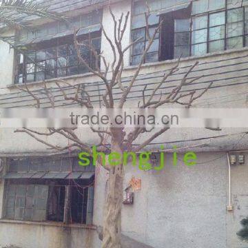 Q012704 White Artificial Tree no Leaves Ornamental Size Customized Dry Tree for Decoration photo-2