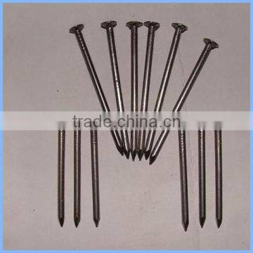 Polished Common Iron Nails With Factory Price photo-4