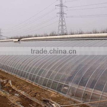 Single Span Agricultural greenhouse for vegetable fruits