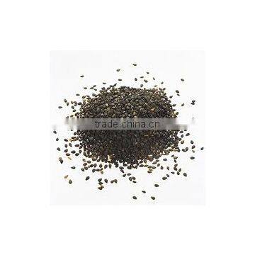 Nigella Sativa Extract photo-4