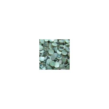 Sell Trocas Shell Blanks