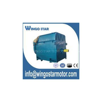 High Voltage Induction Motors