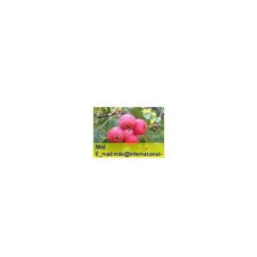 Hawthorn berry Extract