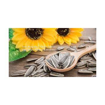 Sunflower Seeds on Hot Sale photo-2