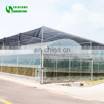 Low Price commercial film cover greenhouse,plastic film greenhouse/hydroponic greenhouse