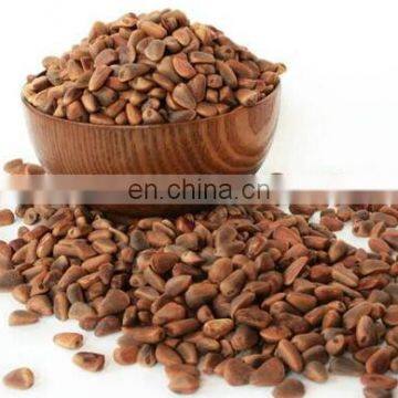 Stainless Steel Pine Nuts Empty Shell Remover Cedar Nut Wind Screening Machine