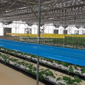 Yellow Insect Sticky Trap pp Glue Trap Roll Fly Glue Trap Roll With Cheap Price photo-5