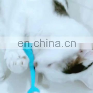 Interactive silicone fish pet toy toothbrush catnipfor for cat