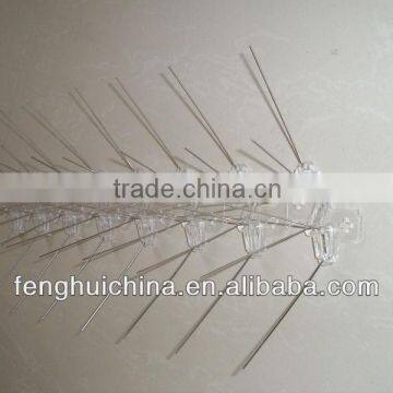 stainless steel pigeon spikes from China