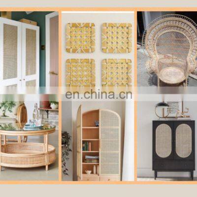 High Quality Line Products and Cheap Price Economic PE Mesh Rattan Cane Webbing Wholesale Customs From VietNam Manufacturers photo-5