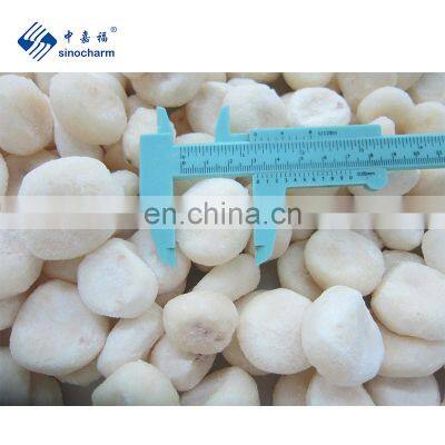 Sinocharm New Season Fresh IQF Peeled Water Chestnut Frozen Whole Water Chestnut