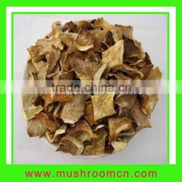 Oyster Mushroom