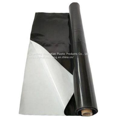 Best Sale UV Protection Greenhouse Black/White Plastic Mulch Film photo-4