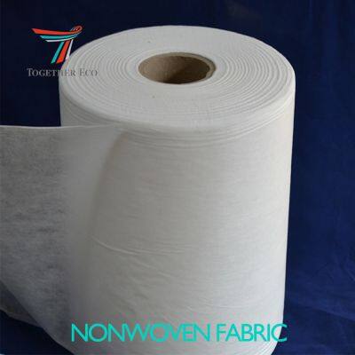Biodegradable PLA Spun-bonded Non Woven Fabric Roll Eco-friendly Raw Material for Diaper Sanitary Napkins Nonwoven Fabric