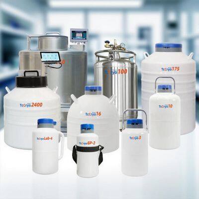 Paraguay Liquid Nitrogen Storage Dewar Tank Suppliers