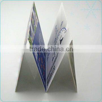 pamphlet flyer printing card