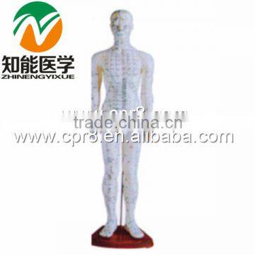 170 cm Standard Needle Point Human Acupuncture Model photo-3