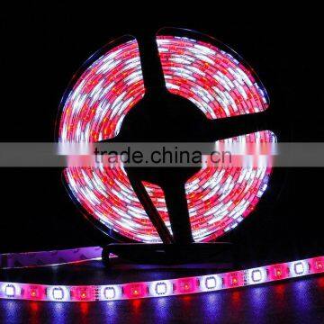 Fullbell smd 5050 flexible led strip light lighting decor