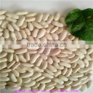Chinese white kidney beans of good quality