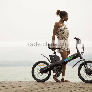 20inch Seagull - Smart 250W 20inch electric bicycles/ kid and children Electric bike/ safe, strong