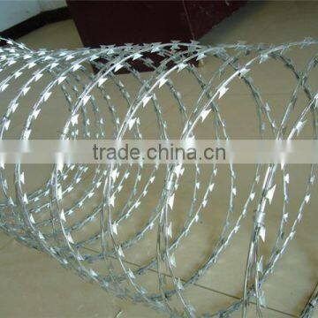 Hot sale galvanized razor barbed wire for fence