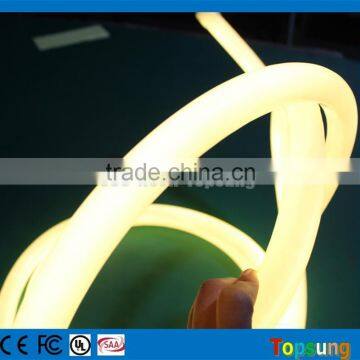 82 feet spool 24V DC 360 degree round blue neon led strip lasting high impact effect for home                        
                                                                                Supplier's Choice