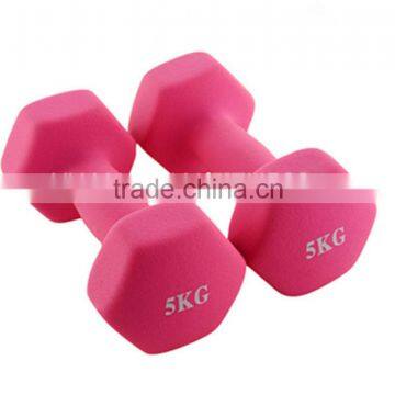 Body Building Home Gym Equipment Heavy Duty Custom Hex Neoprene Dumbbell Set