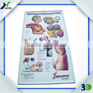 Human Body Anatomy 3d Wall Poster/embossed Cubic Medical Poster photo-2