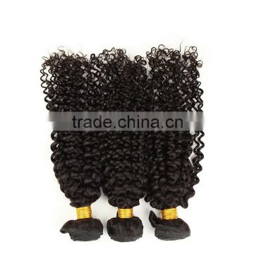 100% unprocessed human virgin Brazilian hair kinky curly