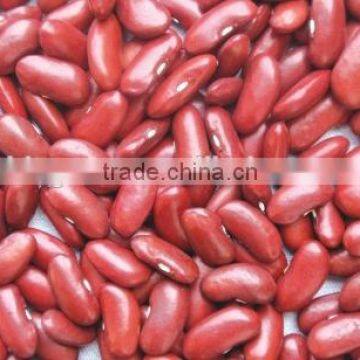 we are supply English red kidney beans with best price for sale