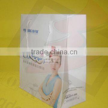 Factory Price Paper Shopping Bag With Your Own Logo