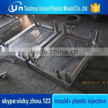 Sales Quality Assurance Plastic Injection Car Mat Mould