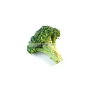 Broccoli extract 0.3% Sulforaphane