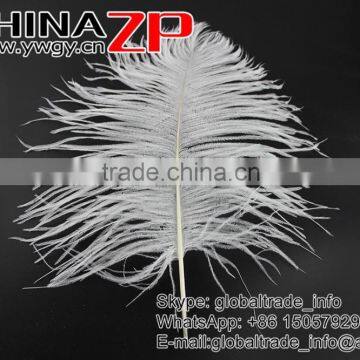 ZPDECOR Wholesale Exporting Selected Prime Quality From 12'' to 14'' White Ostrich Feather for Sale photo-2