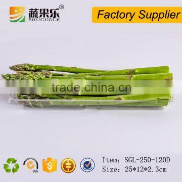 Blister Process Type and Tray Type plastic food tray