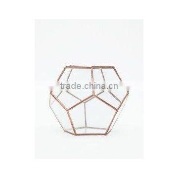 new products geometric style glass bottle terrarium,large glass terrarium Gold color 12 glass terrarium